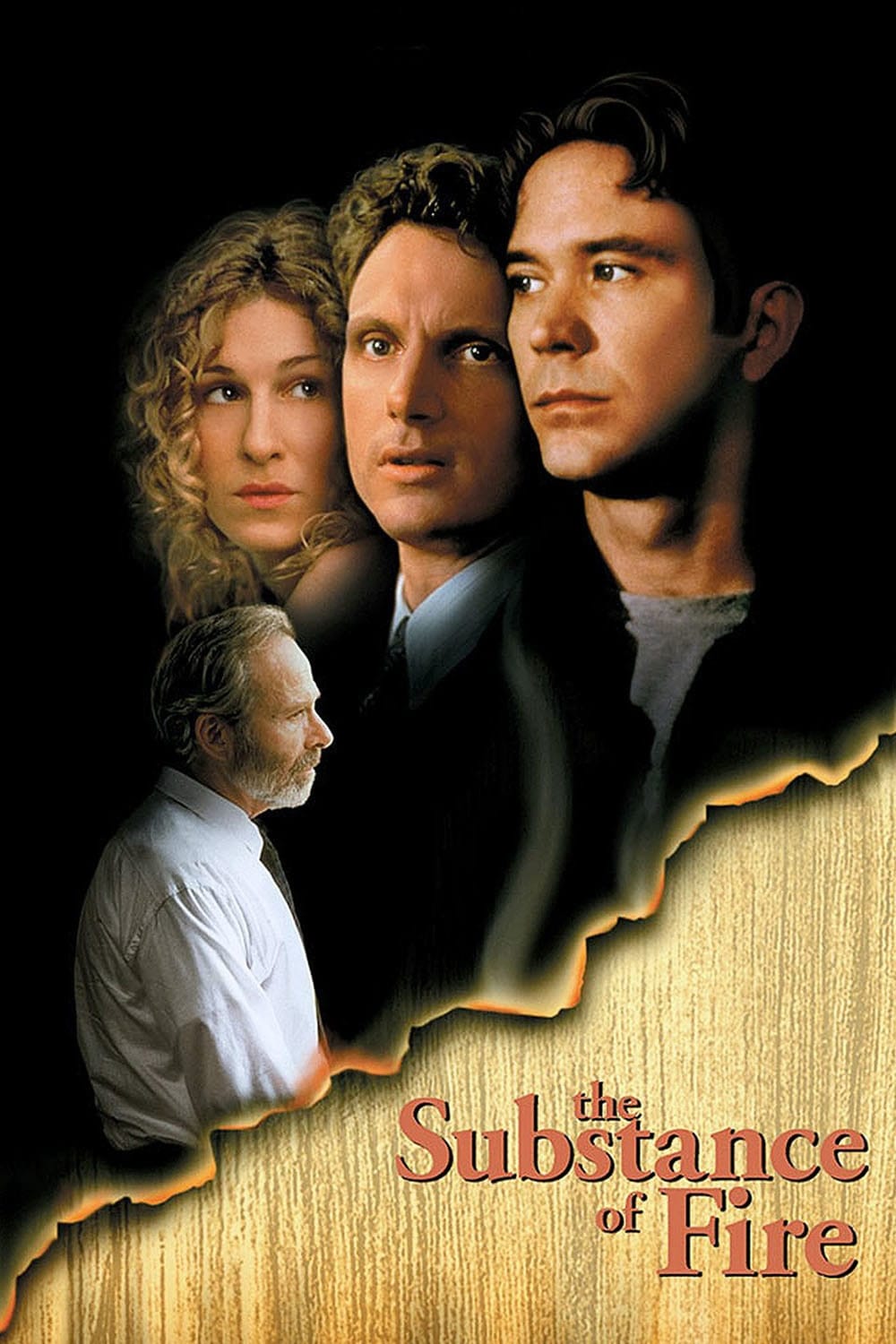 Постер The Substance of Fire